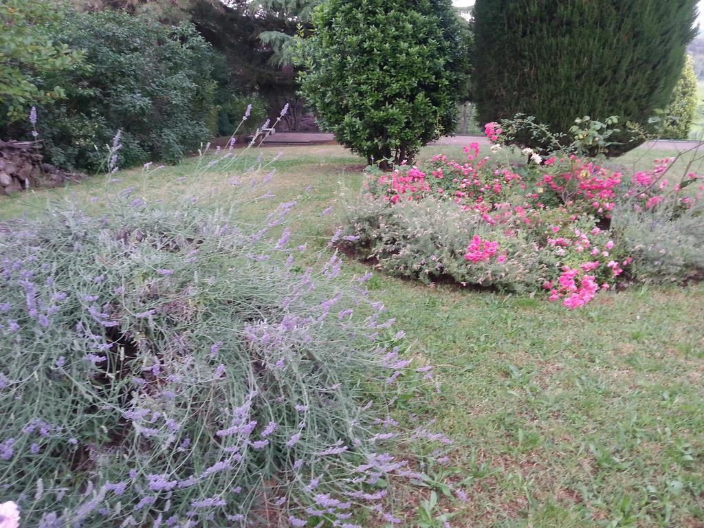 סן לזרו די סבנה Basisa Bed&Breakfast מראה חיצוני תמונה