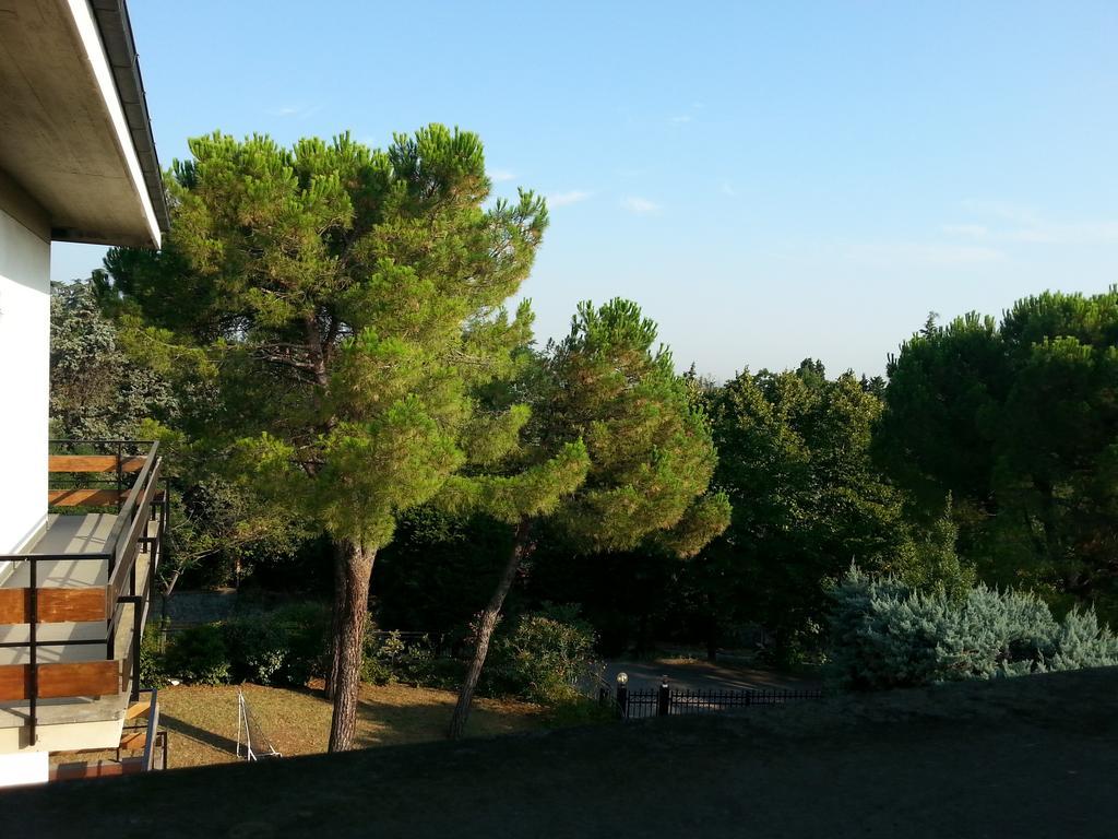 סן לזרו די סבנה Basisa Bed&Breakfast חדר תמונה