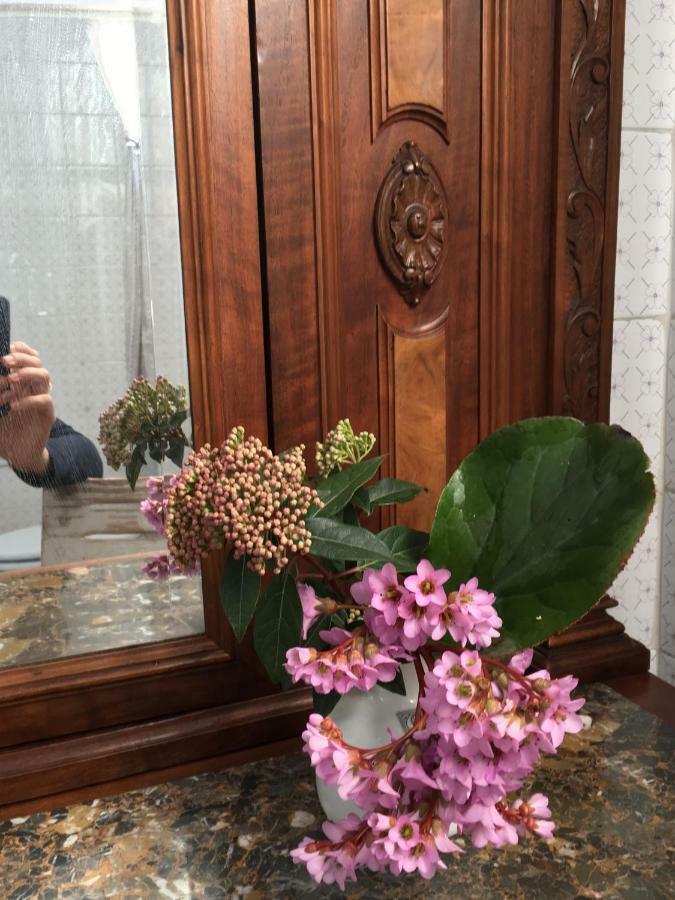סן לזרו די סבנה Basisa Bed&Breakfast מראה חיצוני תמונה